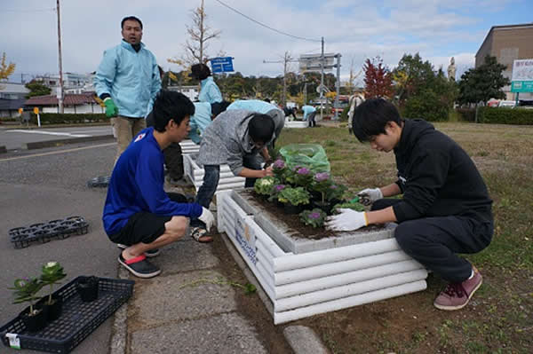 11月12日 IAC協同奉仕活動 加賀温泉駅前花壇植替（年間３回実施）葉牡丹植替