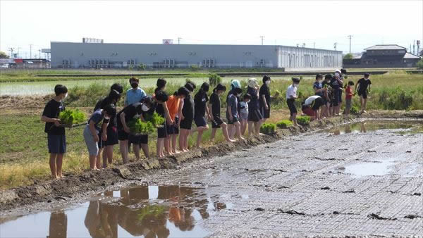 5月15日　伊奈美園との田植え作業