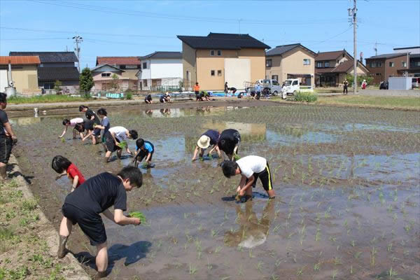 5月15日　伊奈美園との田植え作業