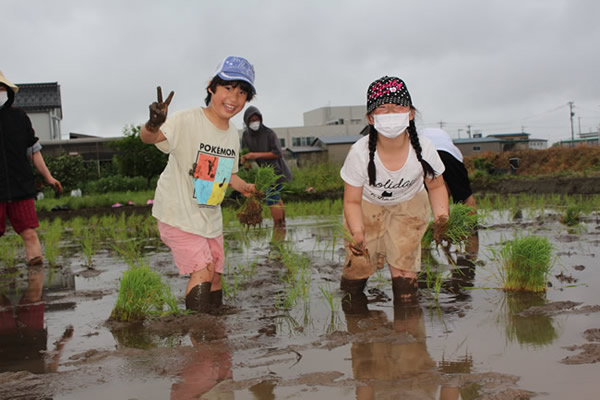 5月14日（土）伊奈美園園児との稲作体験『田植え』